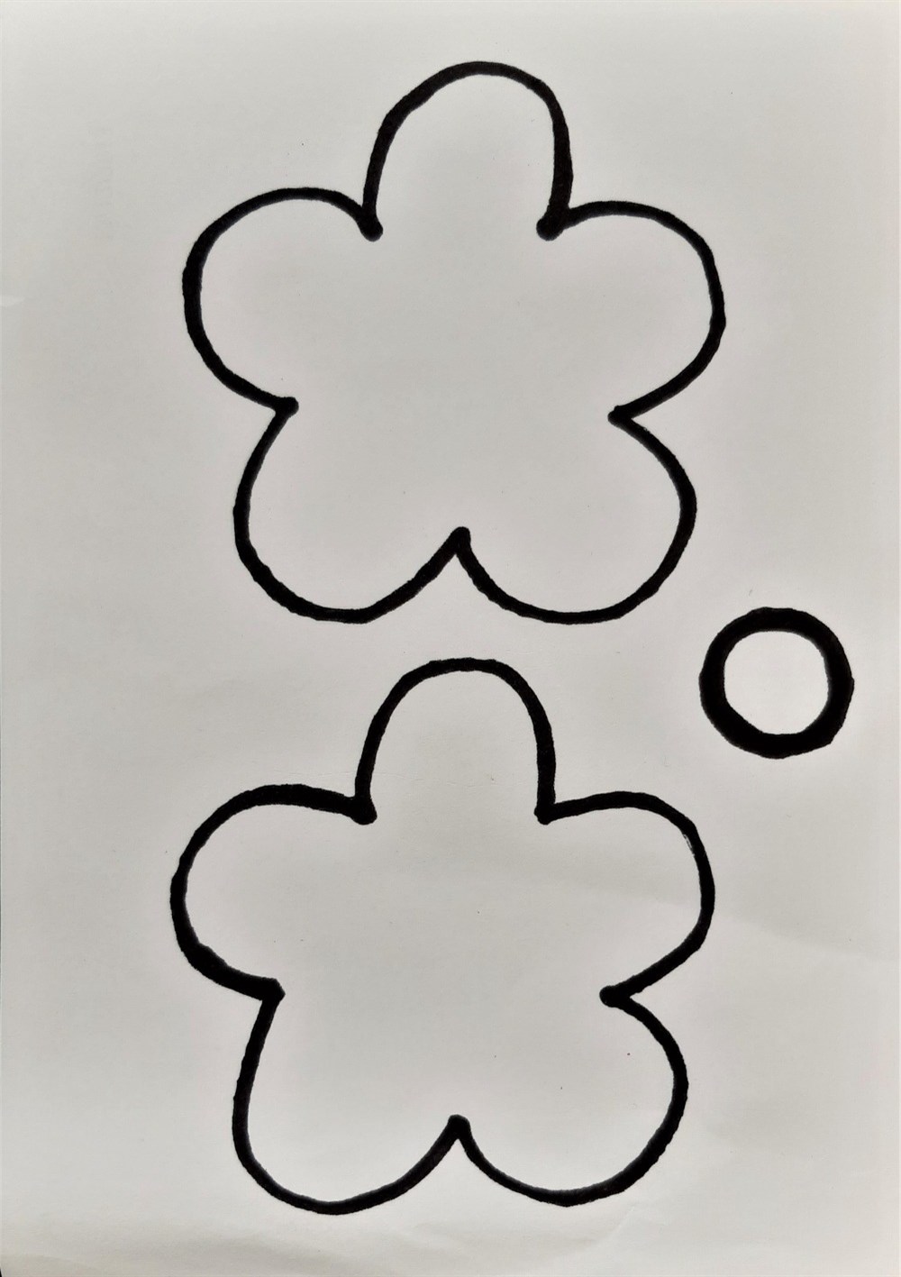 Poppy Template