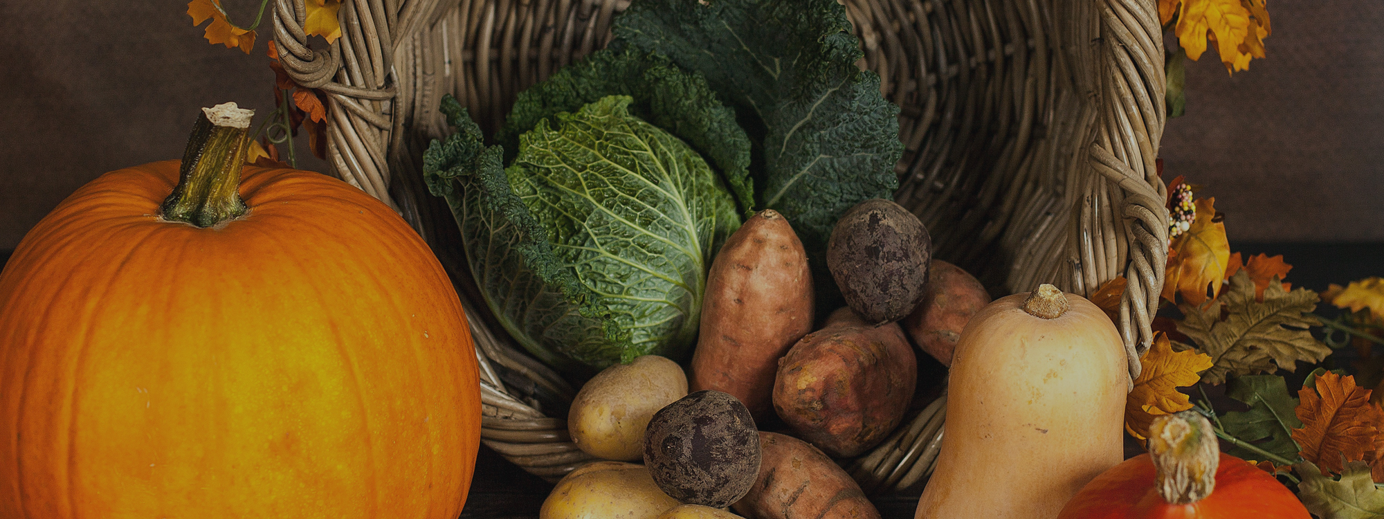 Harvest Festival*Sunday 5th October at 10am*A harvest of people is ready!*